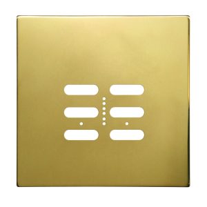 Wise Fusion Plate 2 Gang Plate Polished Brass