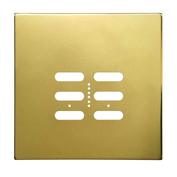 Wise Fusion Plate 2 Gang Plate Polished Brass