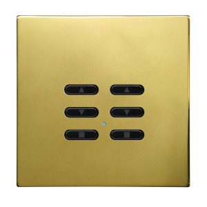 Wise Fusion Smart Dimmer Slave Wireless 2 Gang Polished Brass 3V