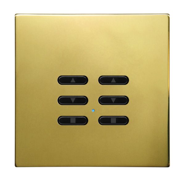Wise Fusion Smart Dimmer Slave Wireless 2 Gang Polished Brass 3V