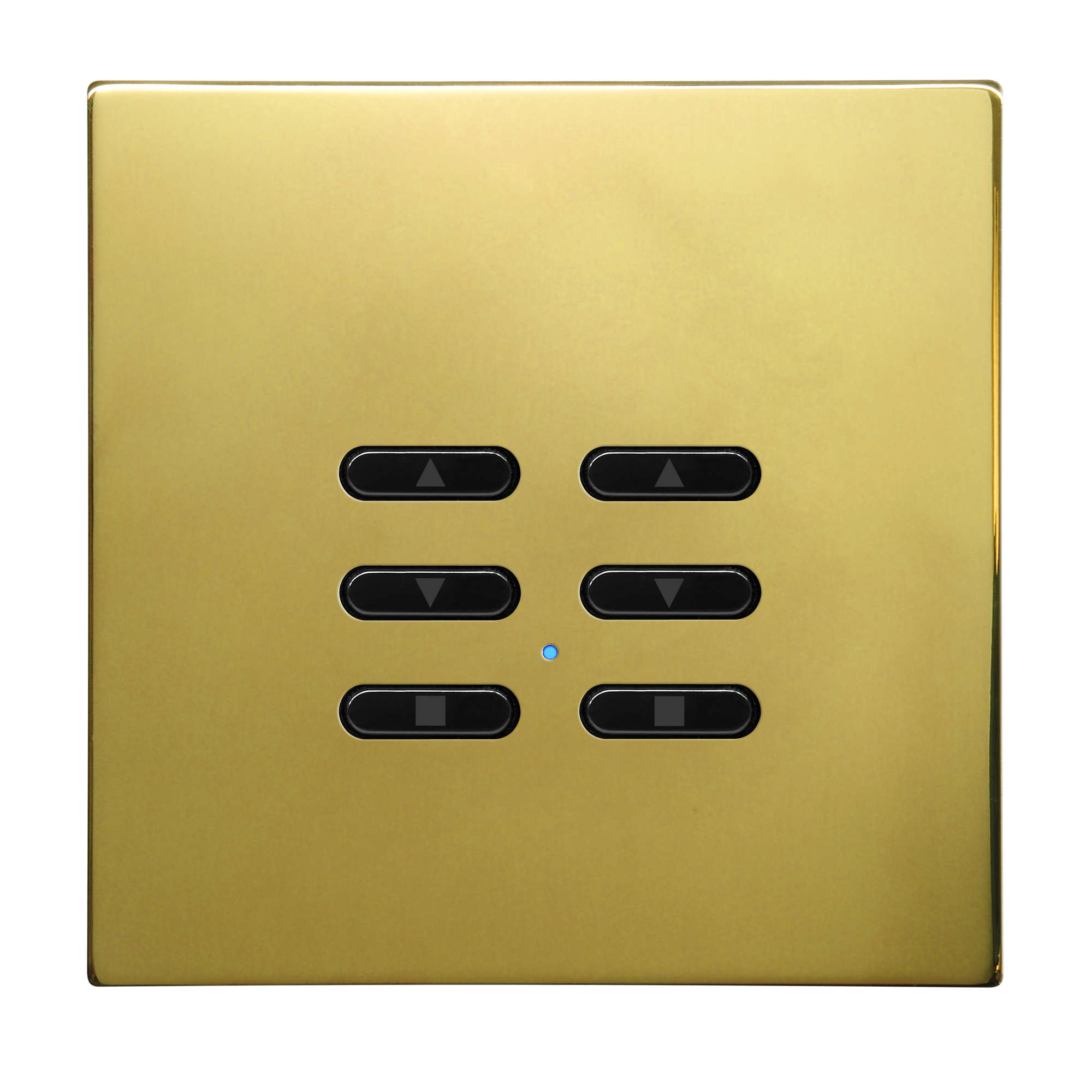 Wise Fusion Smart Dimmer Slave Wireless 2 Gang Polished Brass 3V