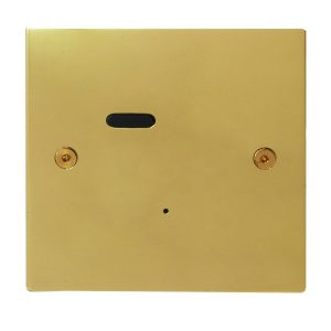 Wise ID Switch Polished Brass 1 Channel