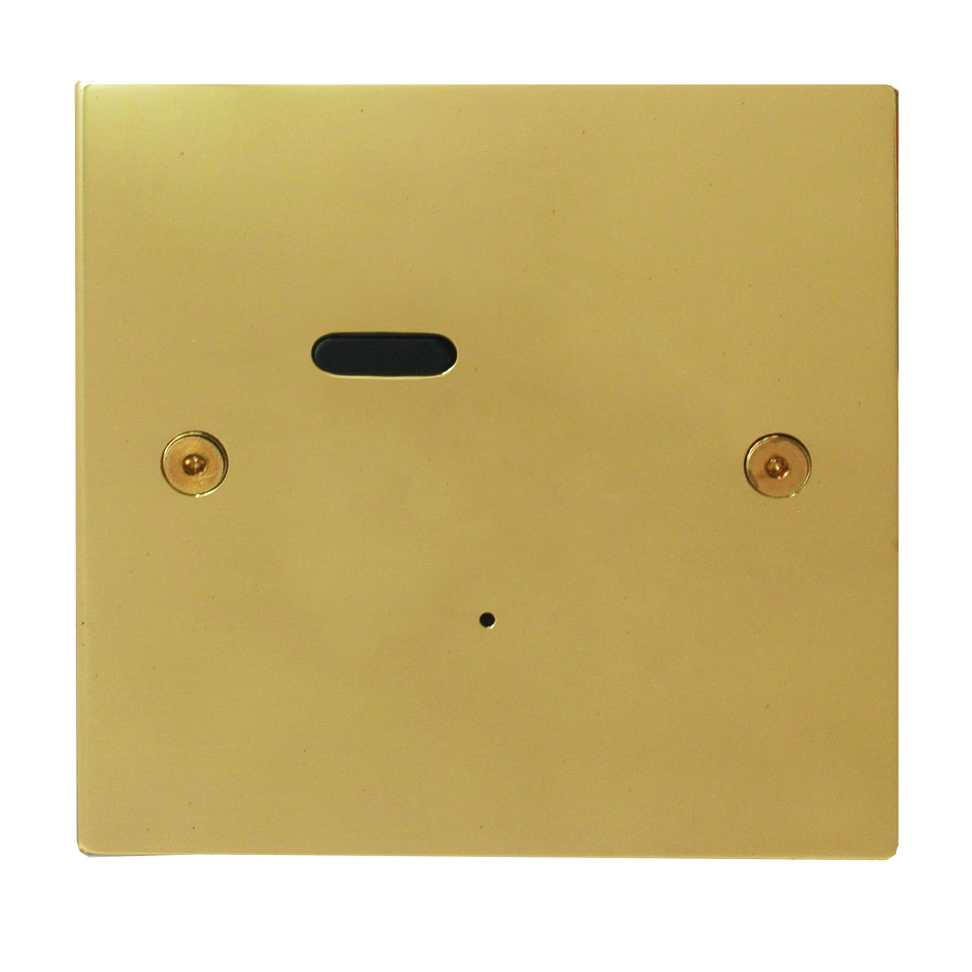 Wise ID Switch Polished Brass 1 Channel