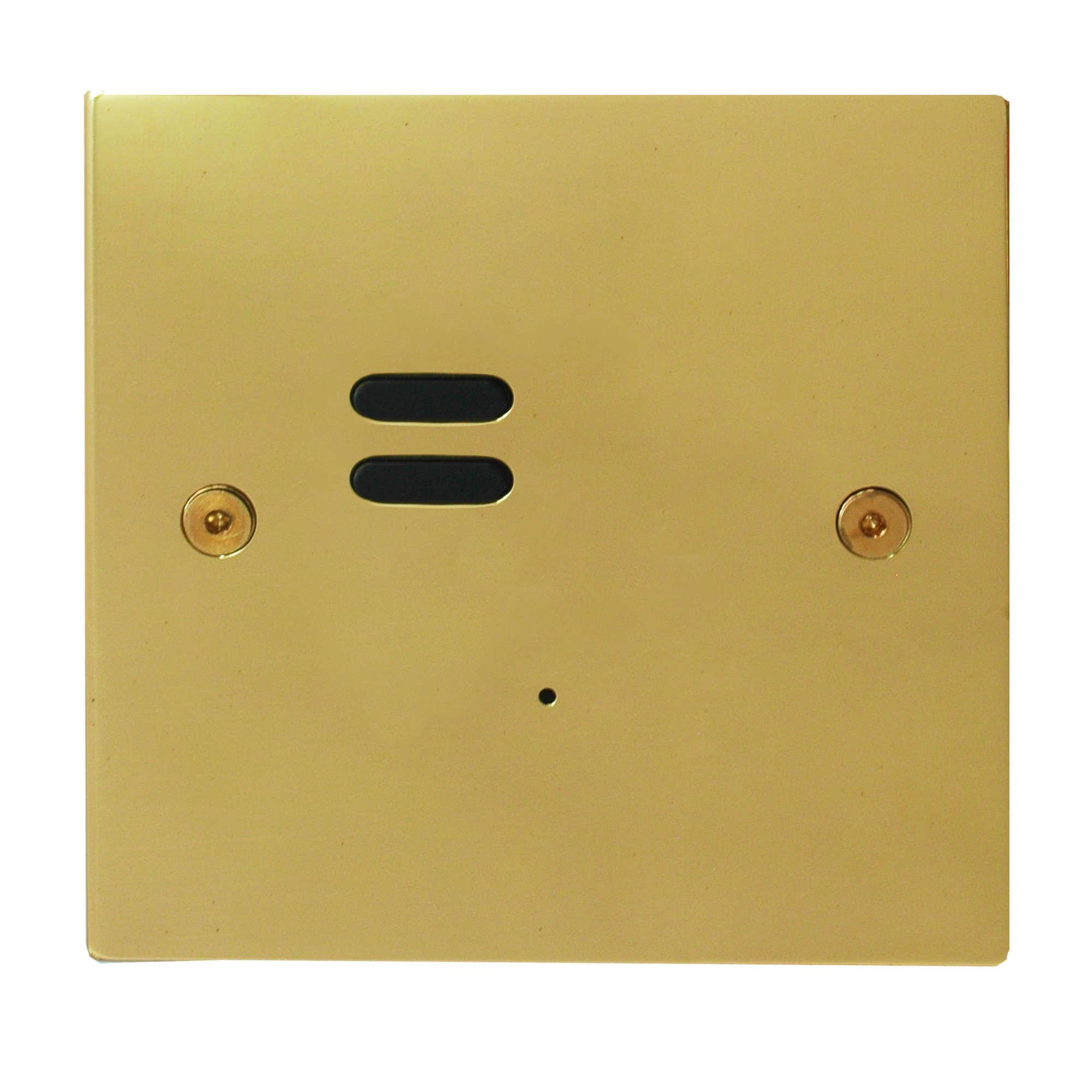 Wise ID Switch Polished Brass 2 Channel