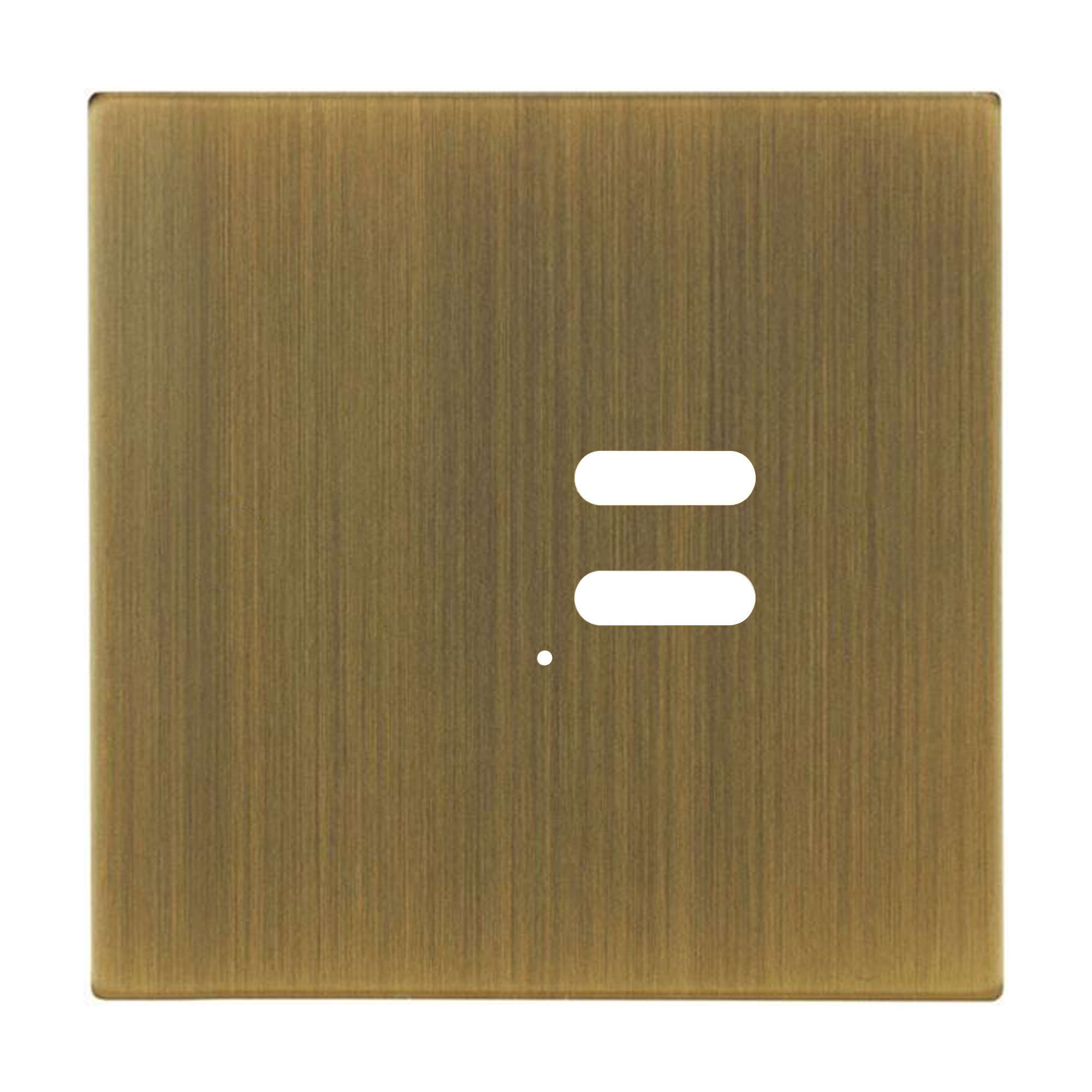 Wise Intense Antique Brass Plate
