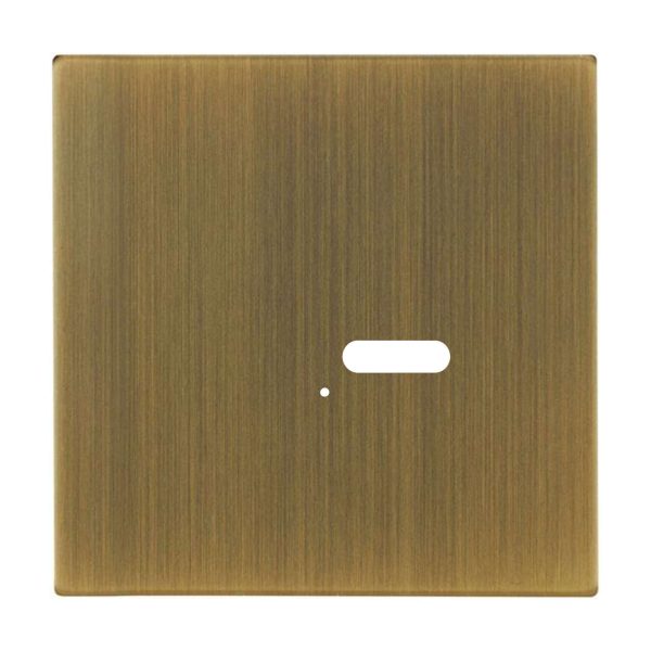 Wise Intense Antique Brass Plate