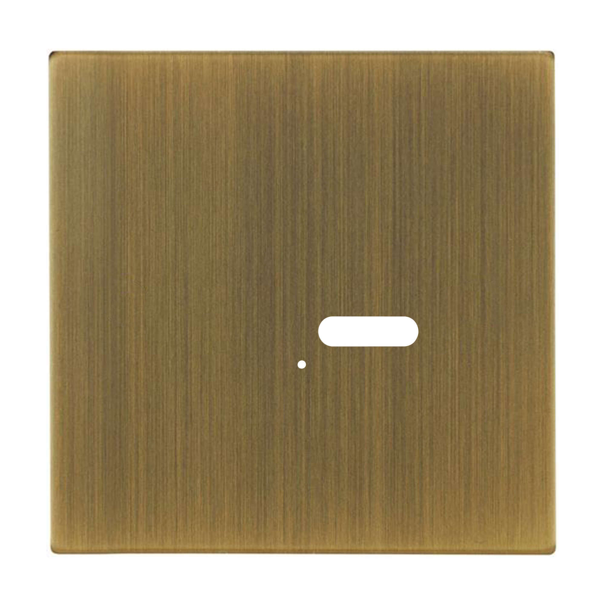 Wise Intense Antique Brass Plate