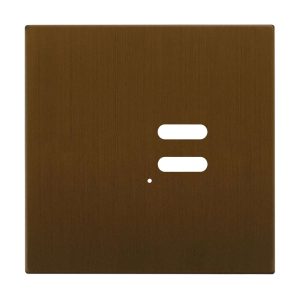 Wise Intense Antique Bronze Plate