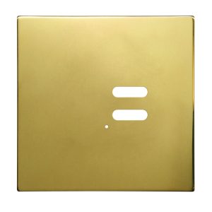 Wise Intense Polished Brass Plate