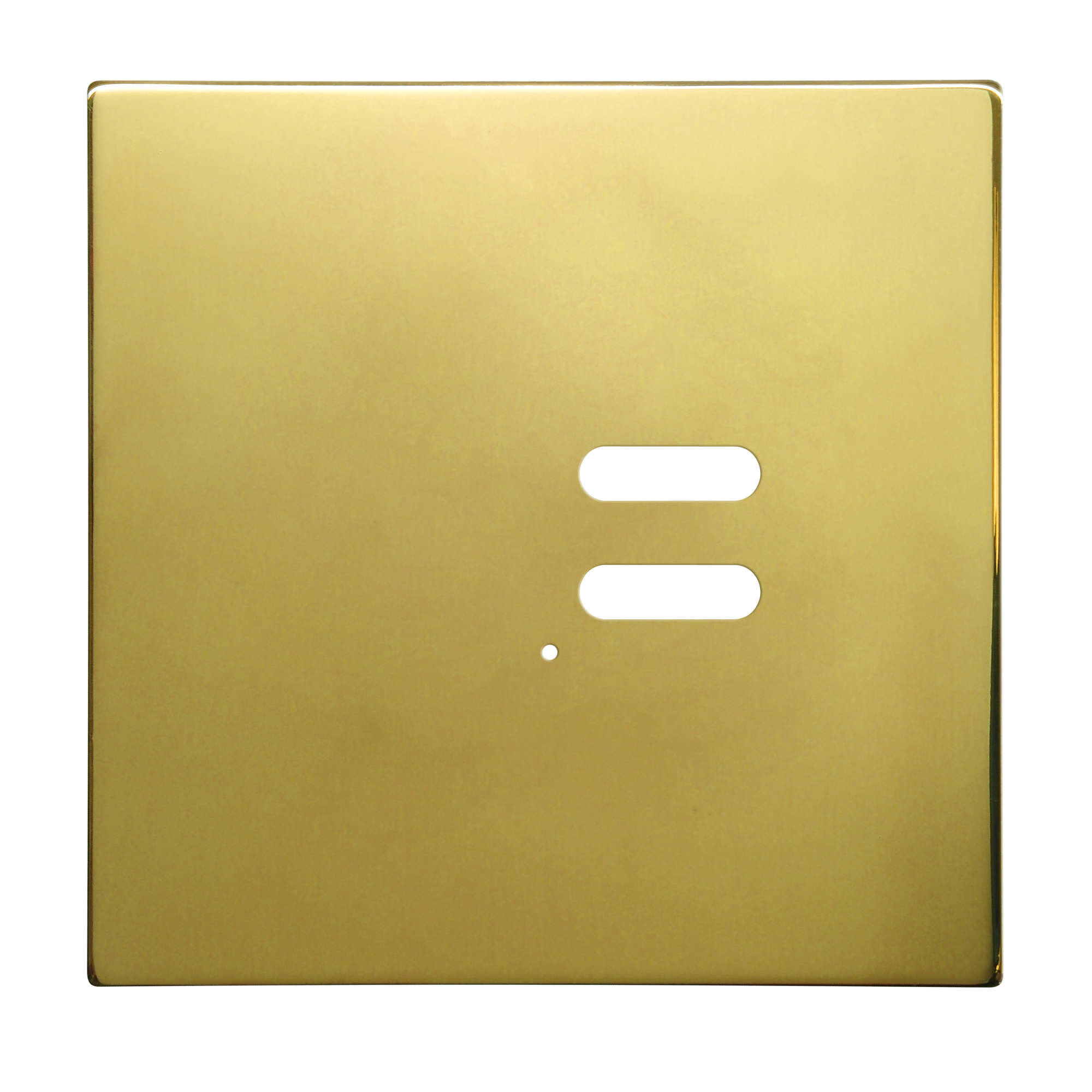 Wise Intense Polished Brass Plate