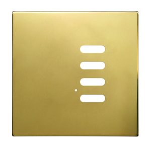 Wise Intense Polished Brass Plate
