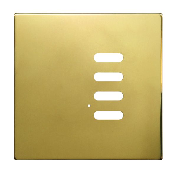 Wise Intense Polished Brass Plate