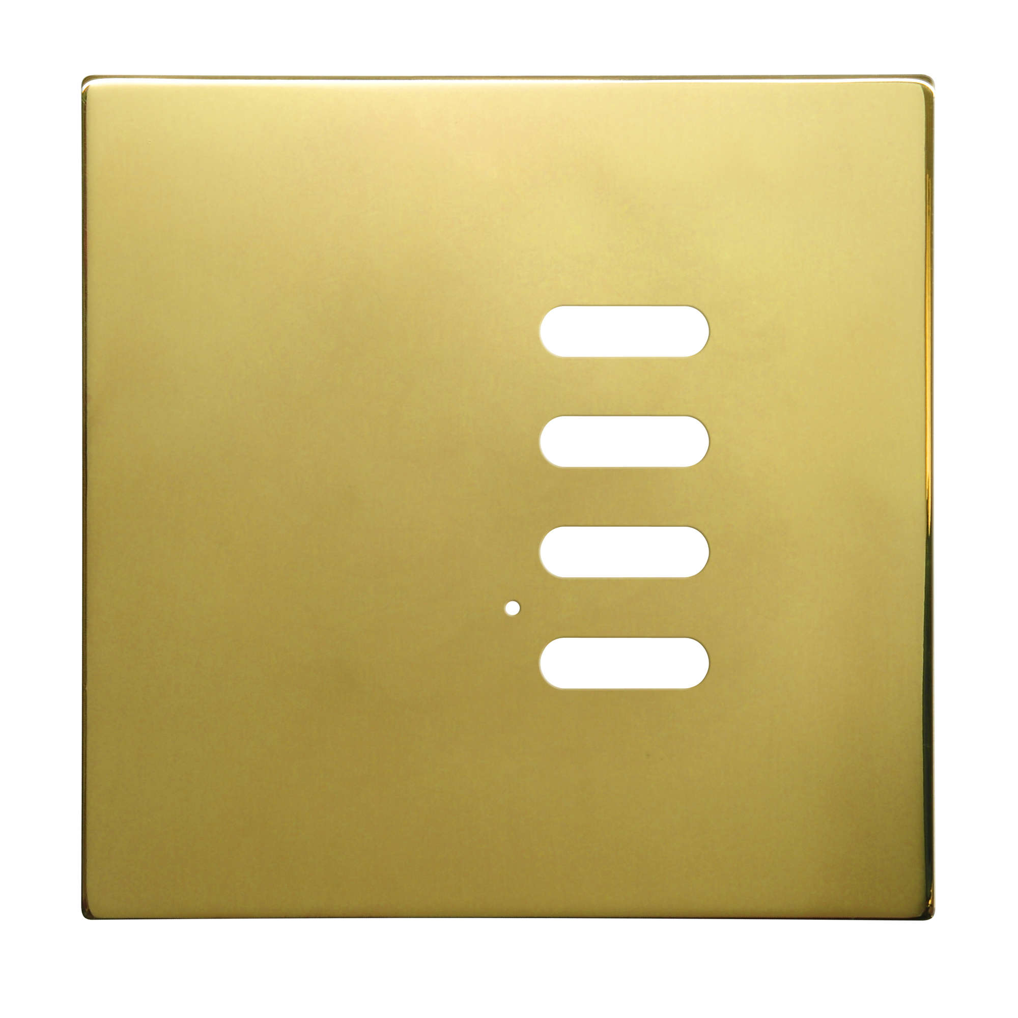 Wise Intense Polished Brass Plate