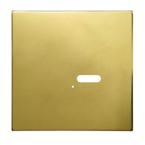 Wise Intense Polished Brass Plate