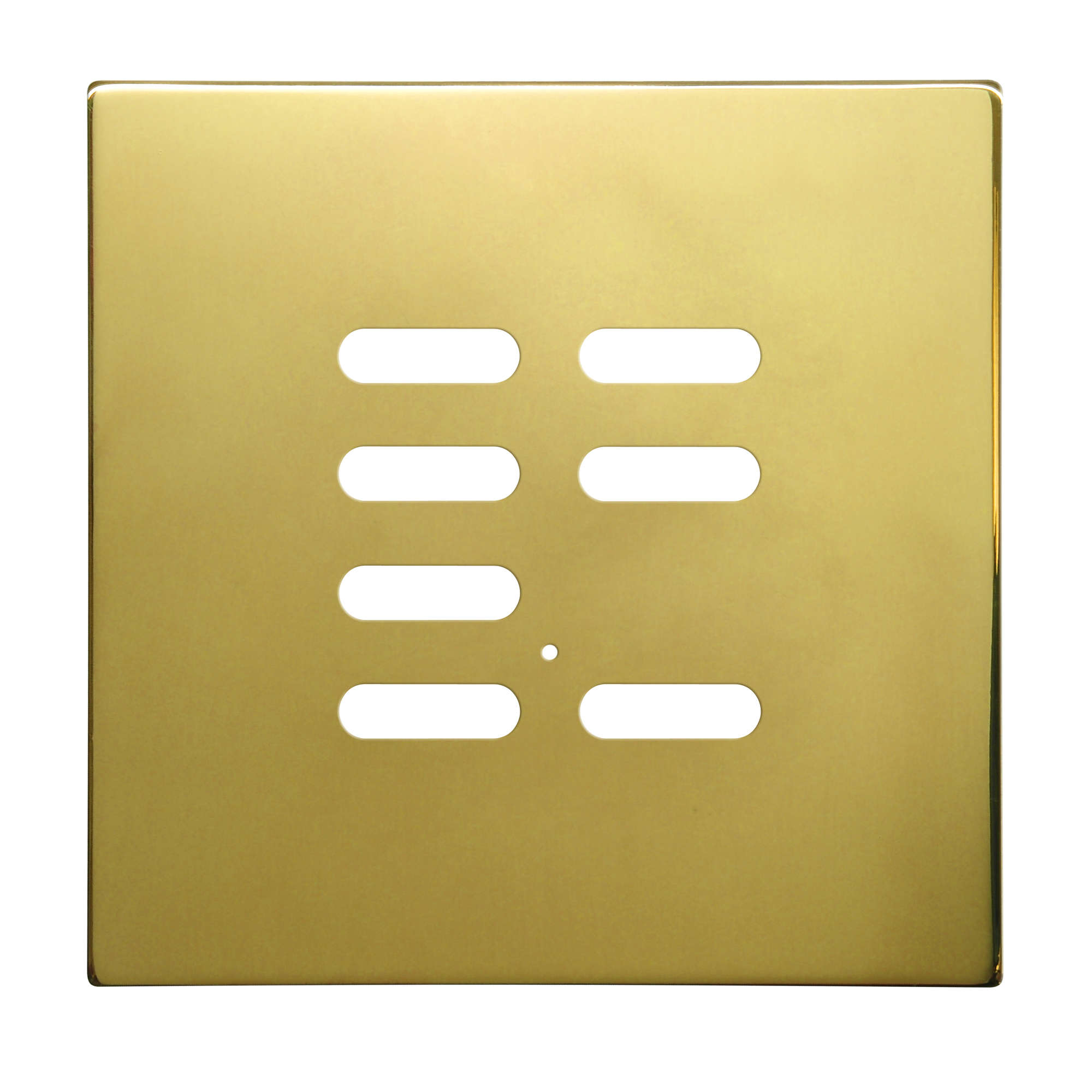 Wise Intense Polished Brass Plate