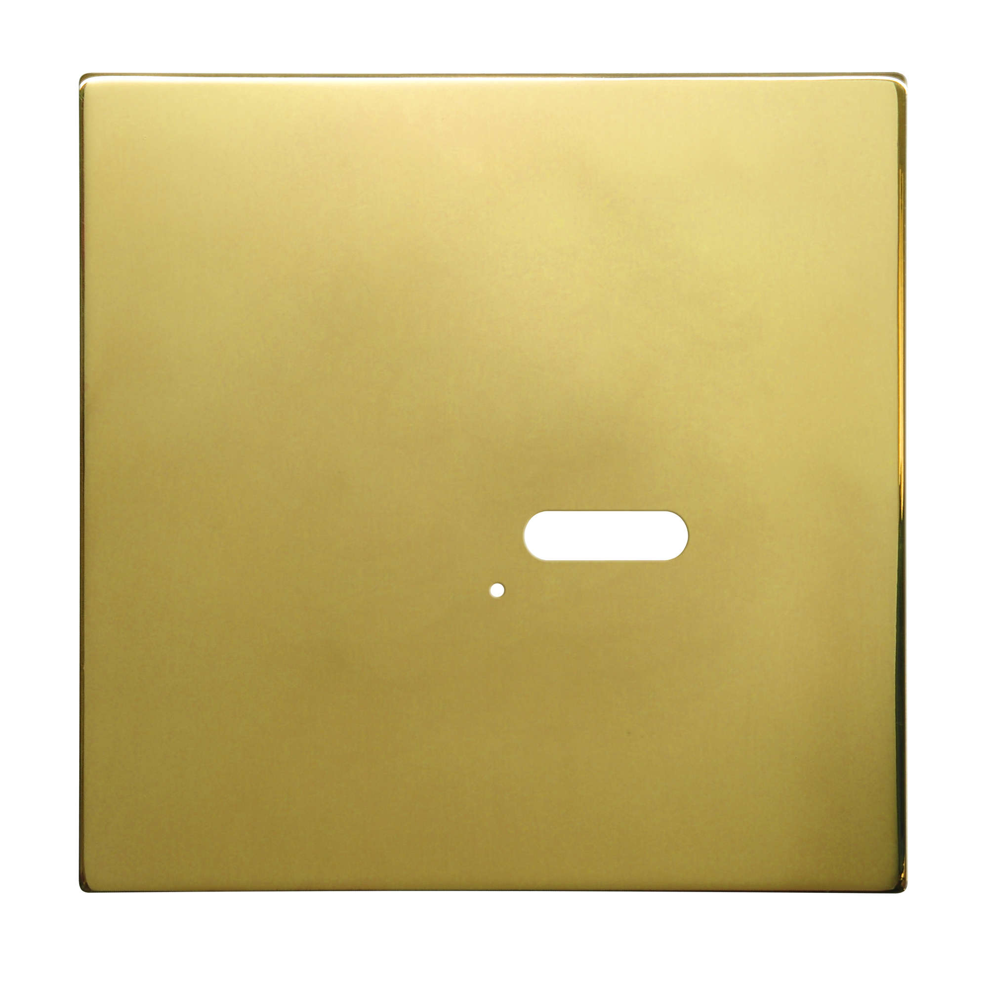Wise Intense Polished Brass Plate