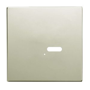 Wise Intense Polished Nickel Plate