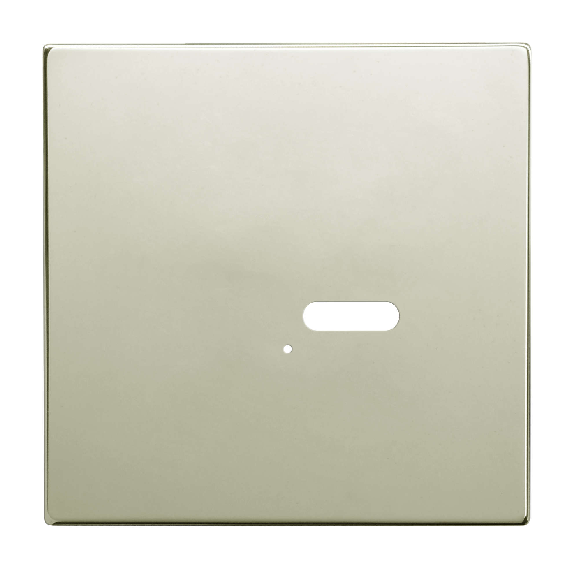 Wise Intense Polished Nickel Plate
