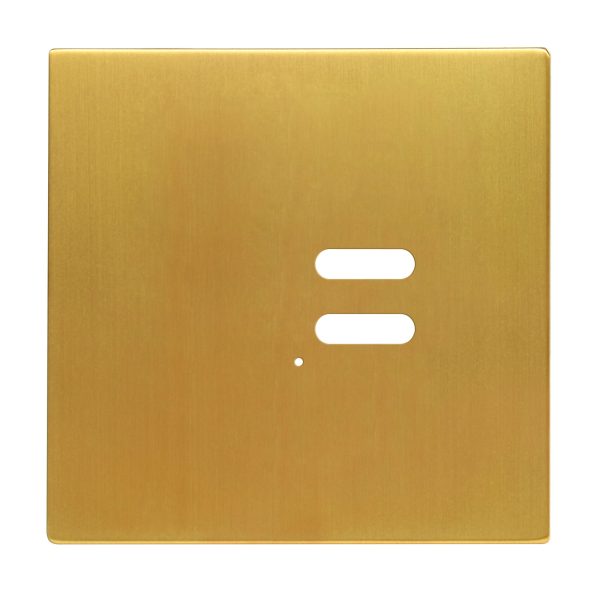 Wise Intense Satin Brass Plate