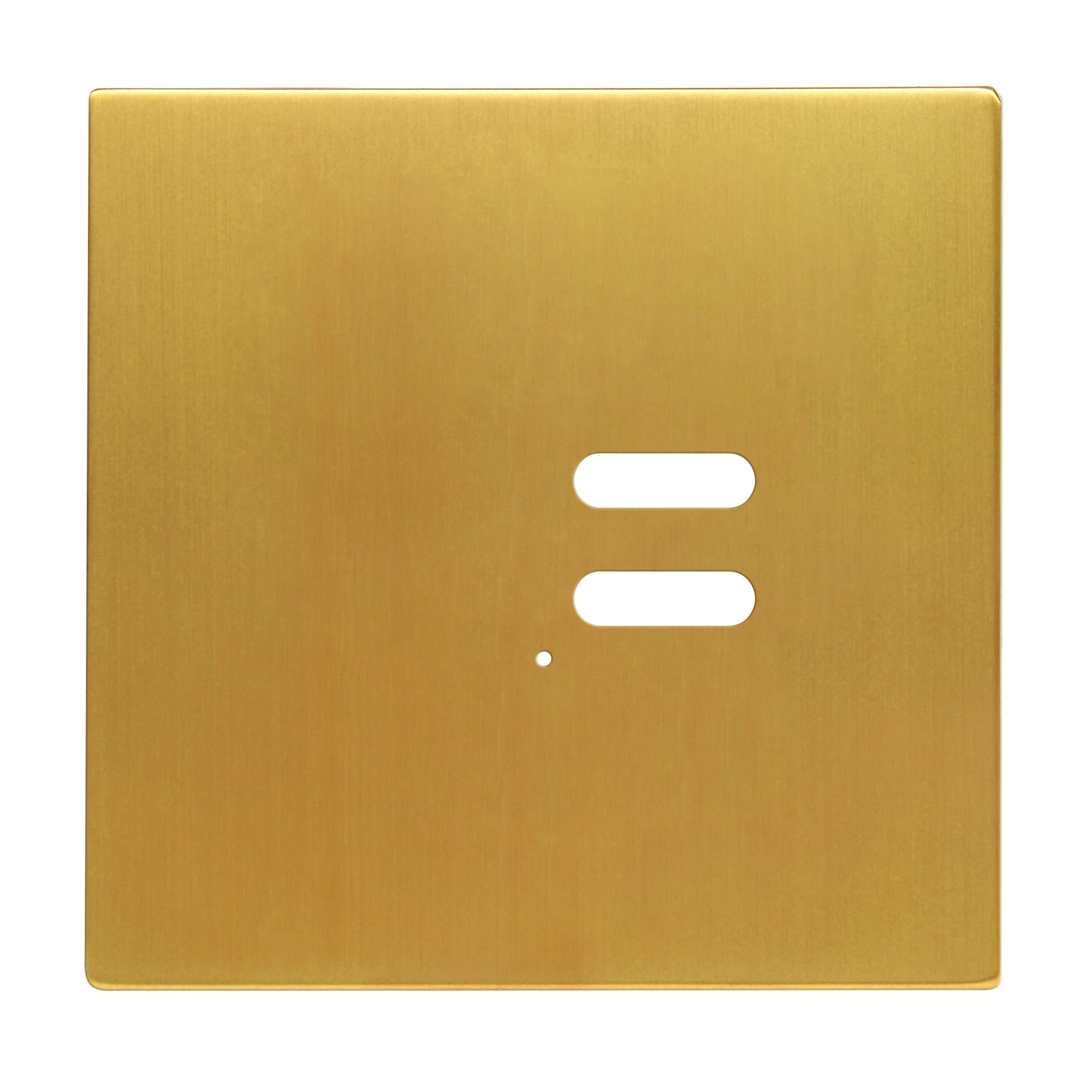 Wise Intense Satin Brass Plate