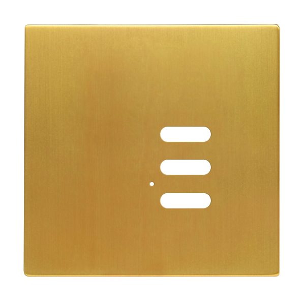 Wise Intense Satin Brass Plate
