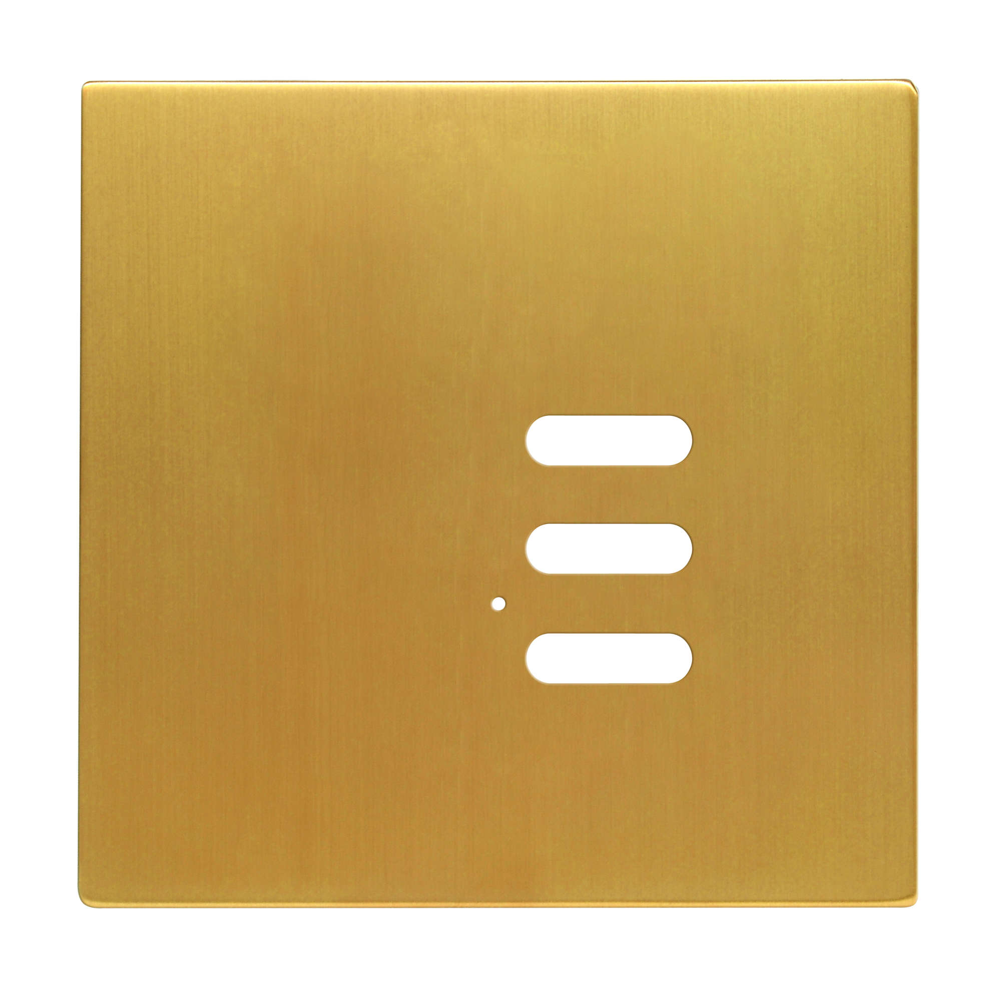 Wise Intense Satin Brass Plate