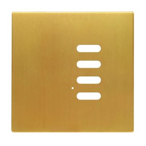 Wise Intense Satin Brass Plate
