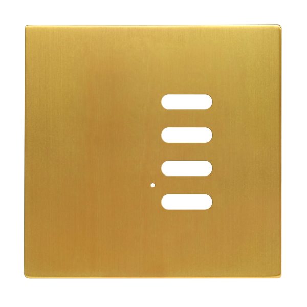 Wise Intense Satin Brass Plate