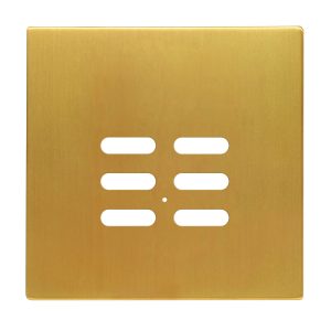 Wise Intense Satin Brass Plate