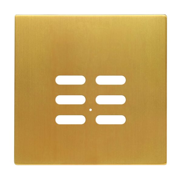 Wise Intense Satin Brass Plate