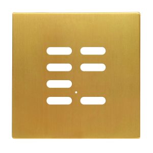 Wise Intense Satin Brass Plate
