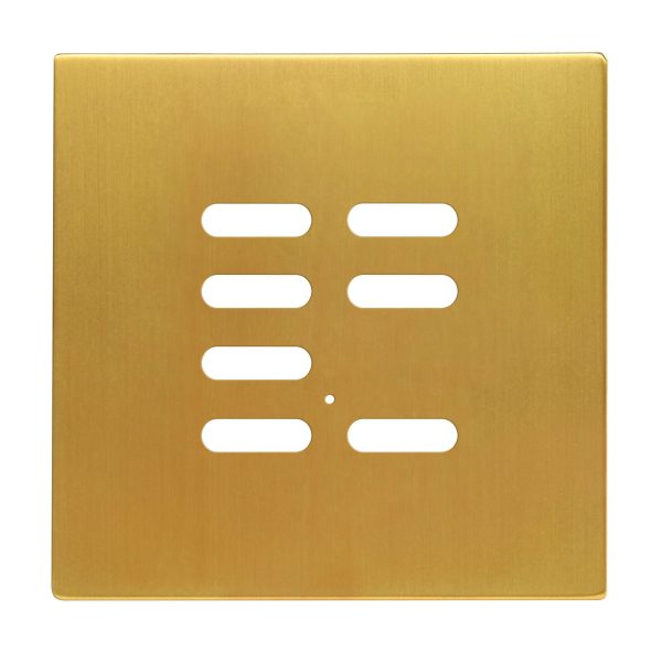 Wise Intense Satin Brass Plate