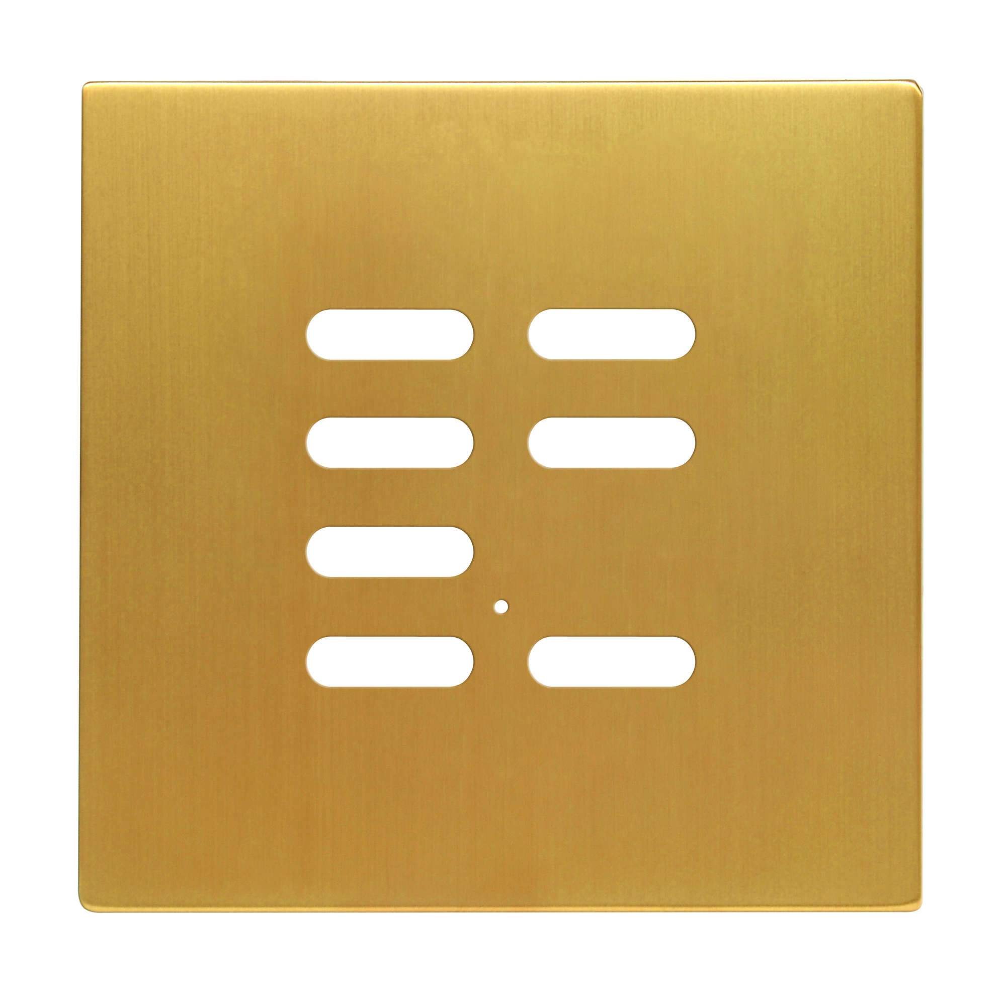 Wise Intense Satin Brass Plate