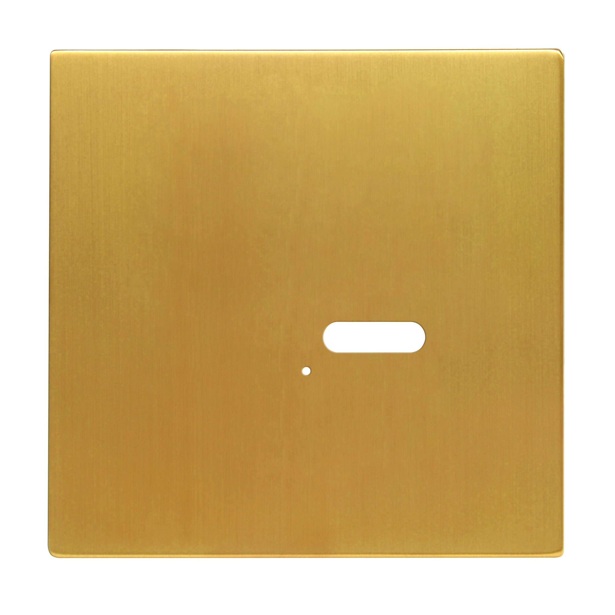 Wise Intense Satin Brass Plate