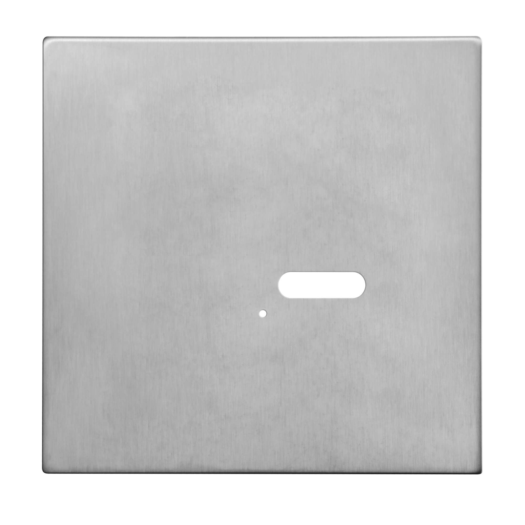 Wise Intense Satin Stainless Plate