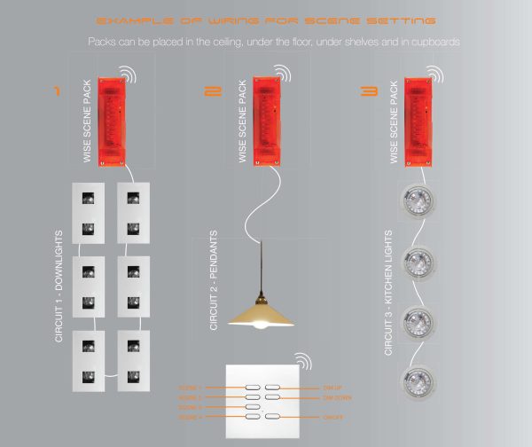 Wise Scene LED Table/Floor Dimming Receiver 240V 100W - Image 4