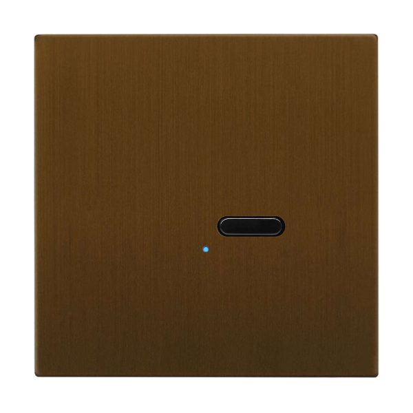 Wise Switch 1 Channel Antique Bronze 3V