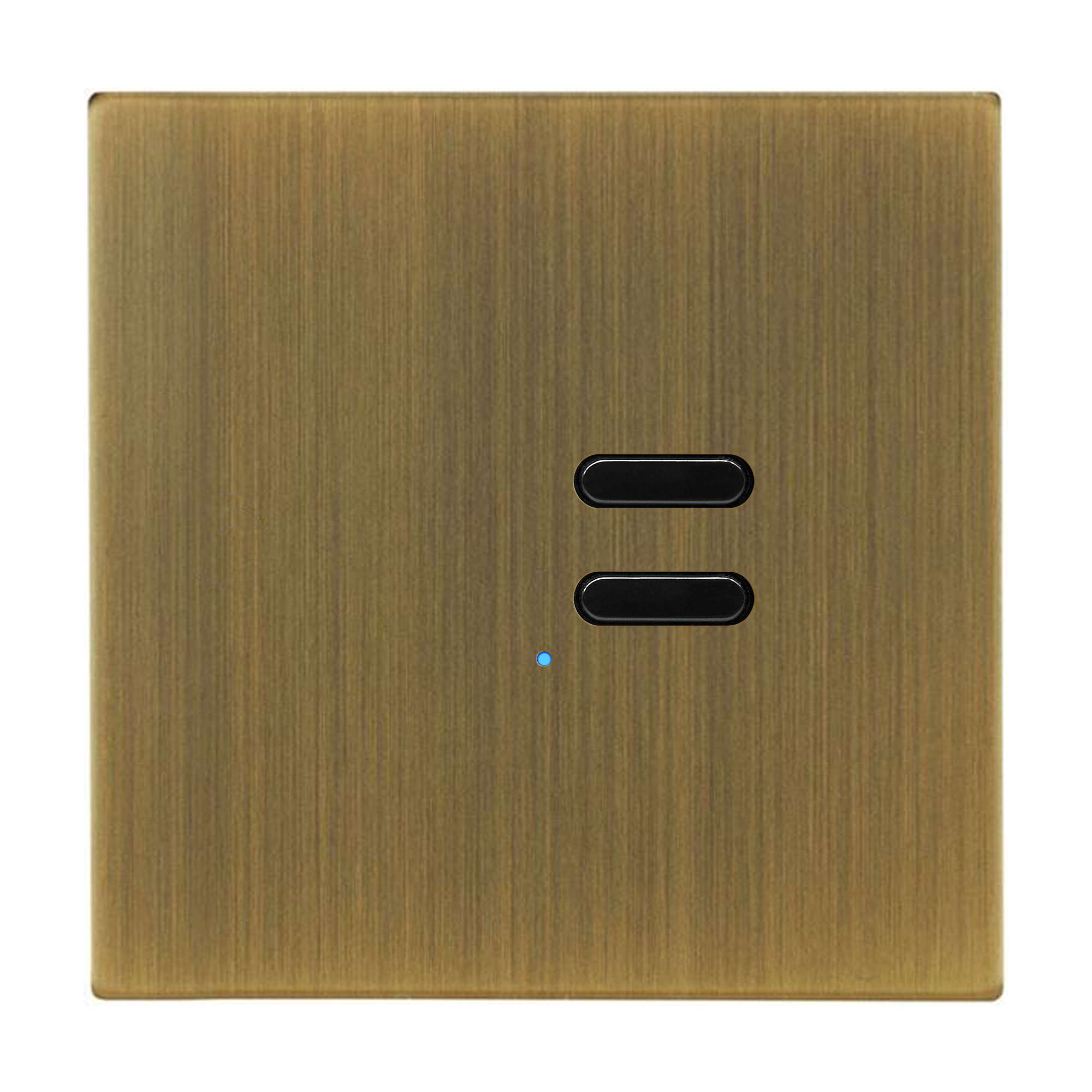Wise Switch 2 Channel Antique Brass 3V