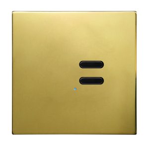 Wise Switch 2 Channel Polished Brass 3V