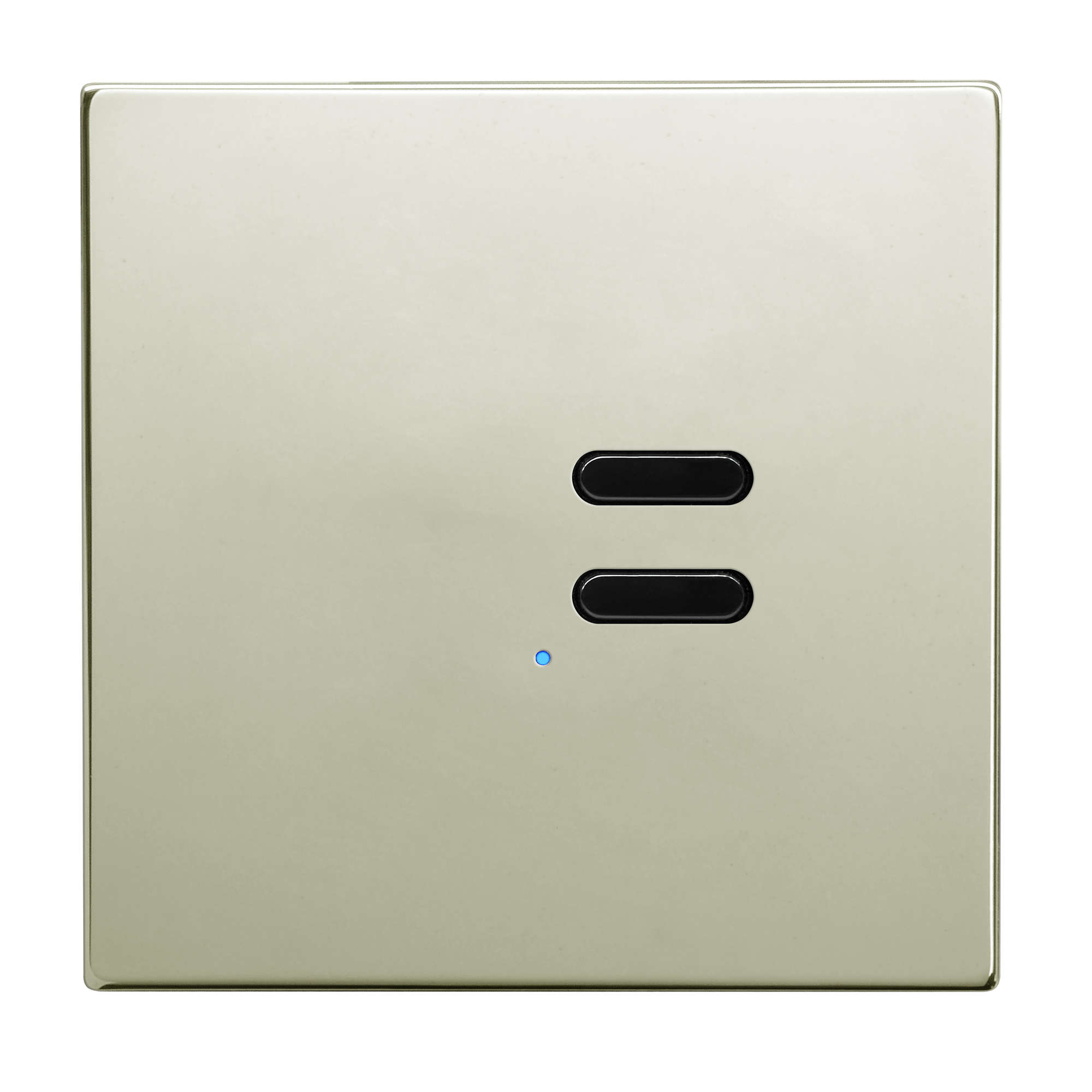 Wise Switch 2 Channel Polished Nickel 3V