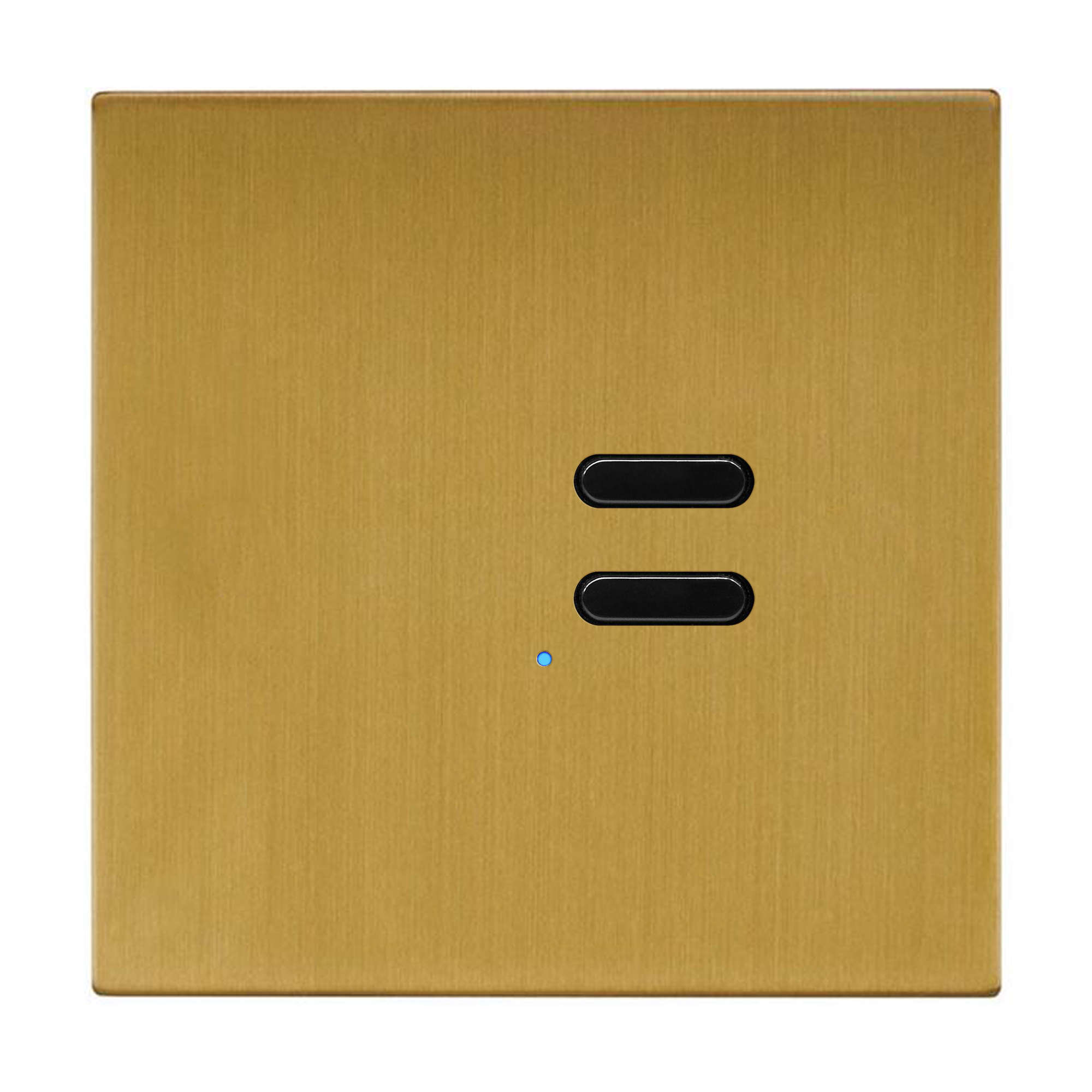 Wise Switch 2 Channel Satin Brass 3V