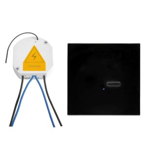 Wise Switch Receiver + Switch Kit 1 Channel 3000W