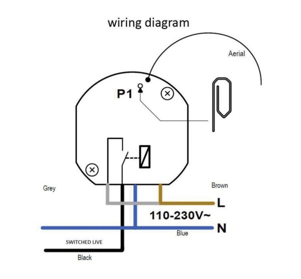 Wise Volt Free Receiver 1 Channel - Image 2
