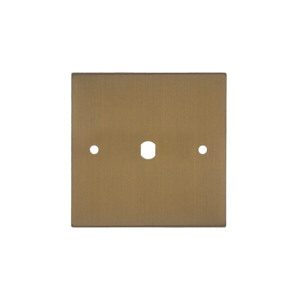 WiseRetro Module Plate Bronze 1 Gang
