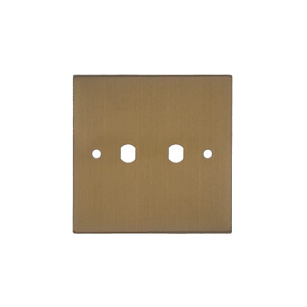 WiseRetro Module Plate Bronze 2 Gang