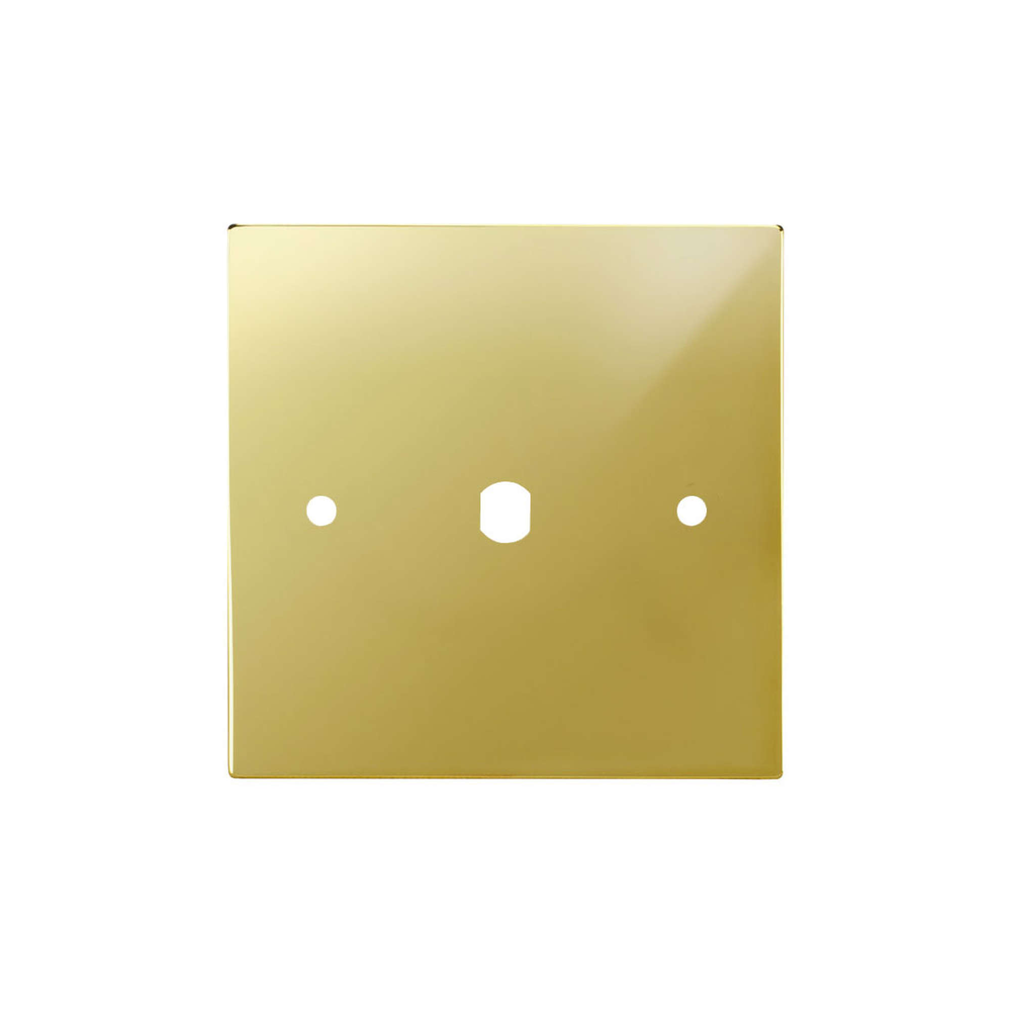 WiseRetro Module Plate Polished Brass 1 Gang