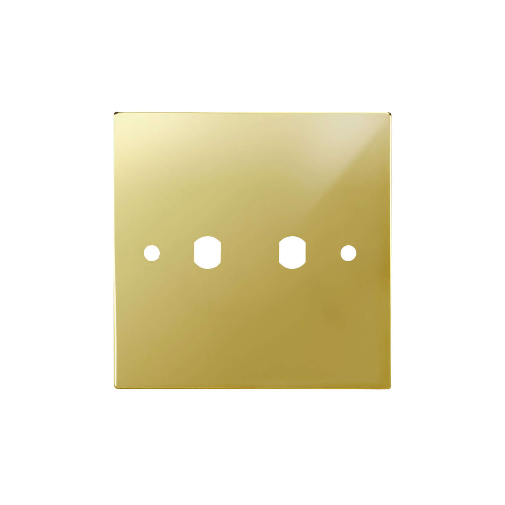 WiseRetro Module Plate Polished Brass 2 Gang