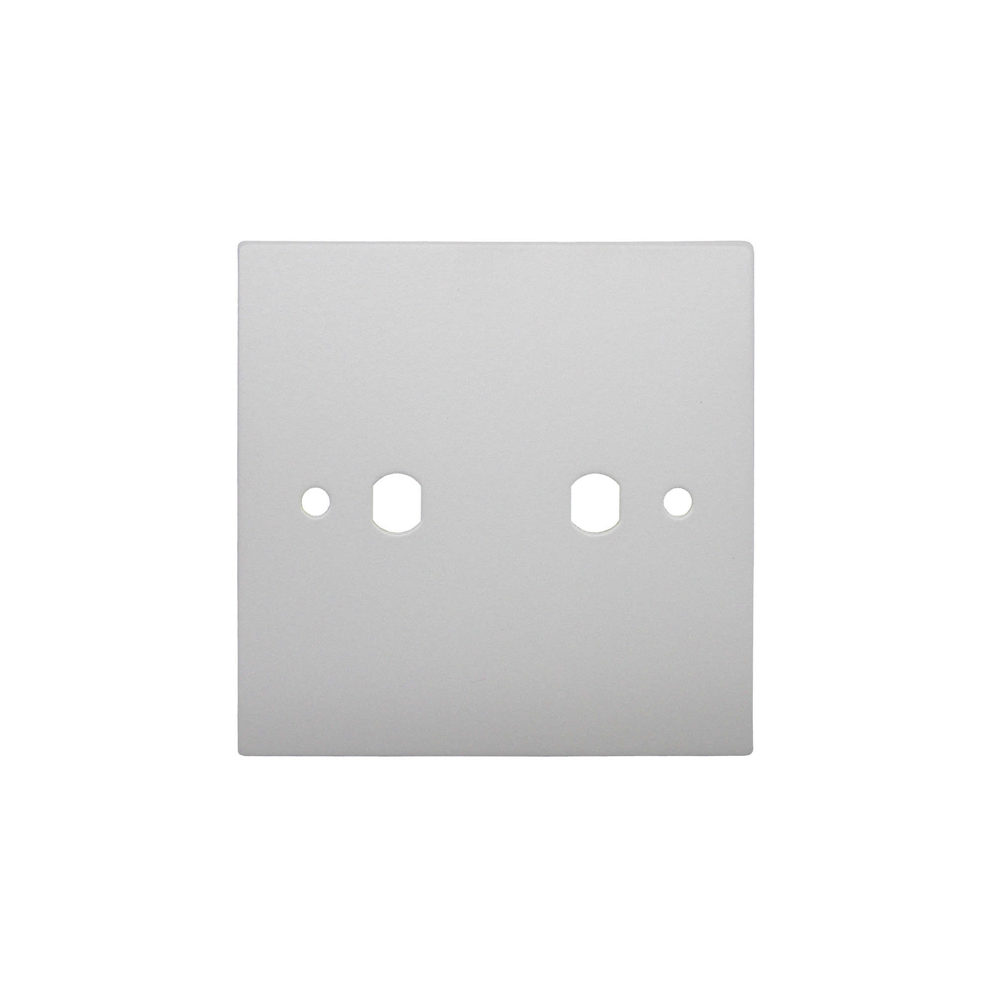 WiseRetro Module Plate Primed White 2 Gang