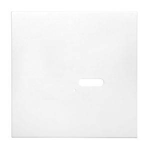 Wise Intense Primed White Plate