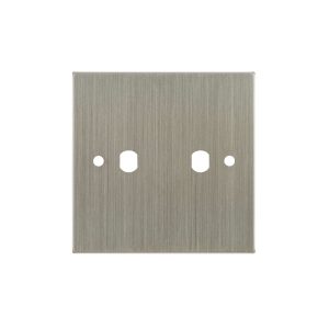 WiseRetro Module Plate Satin Nickel 2 Gang